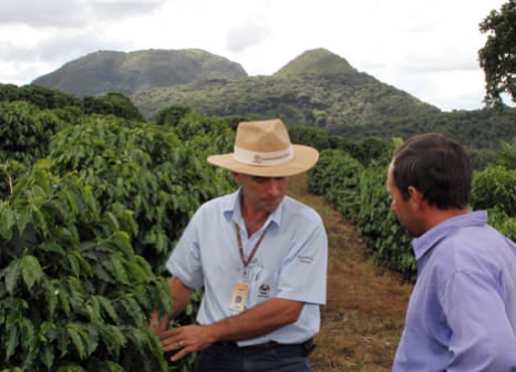 Entrenando agricultores