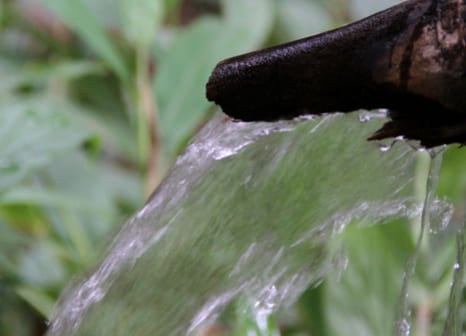 Sobrevivir con menos agua