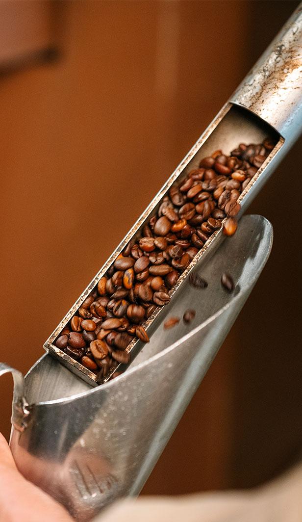 tostadores de café