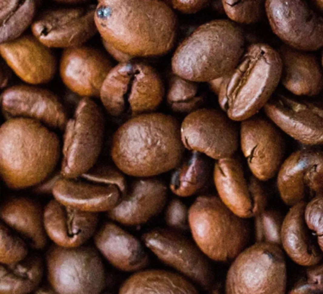quality coffee roasts