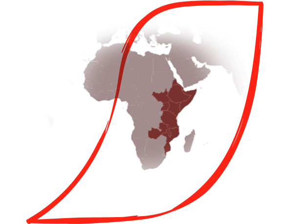 Afrikas Kaffeebauern