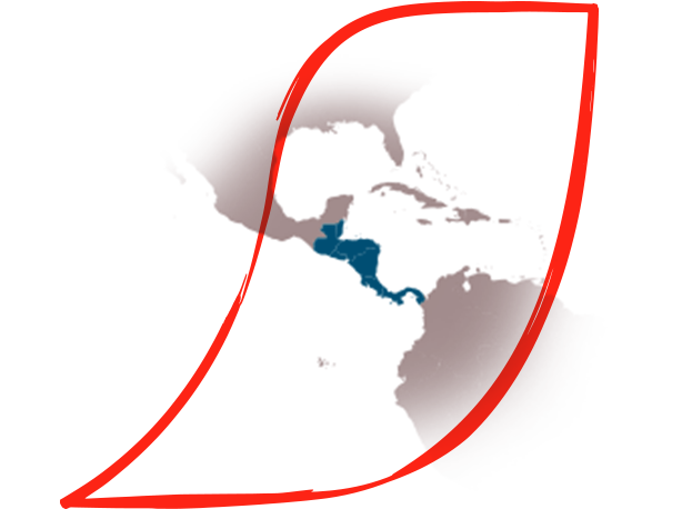 Amerikas Kaffeebauern