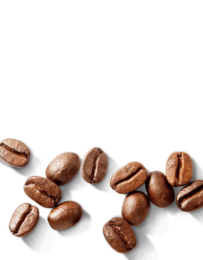 What Is Craft Coffee? All You Need to Know, Nescafé