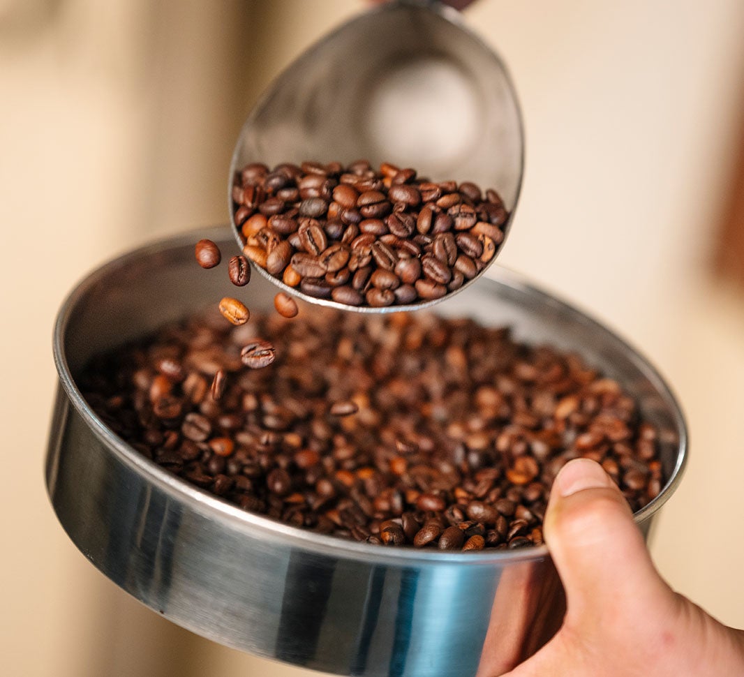 Pouring roasted coffee beans from a scoop