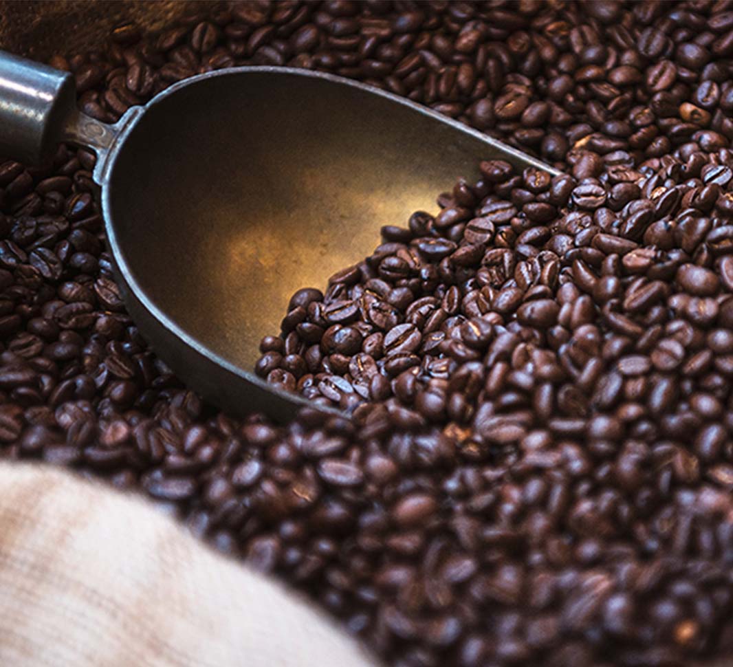 Arabica coffee beans