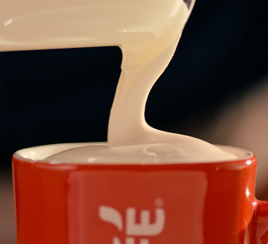 Making a NESCAFÉ® Cappuccino