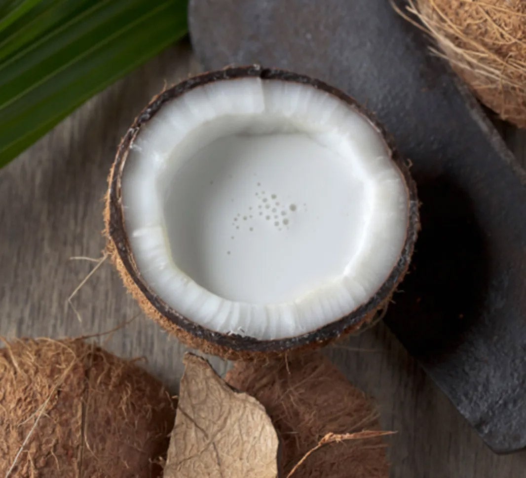 Picture of halved coconut with coconut milk