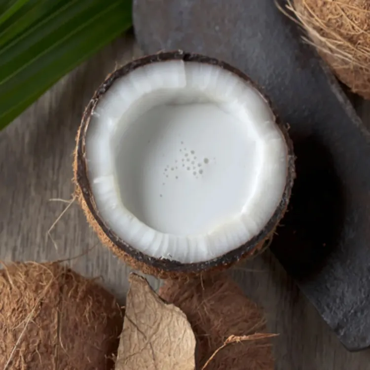 Picture of halved coconut with coconut milk