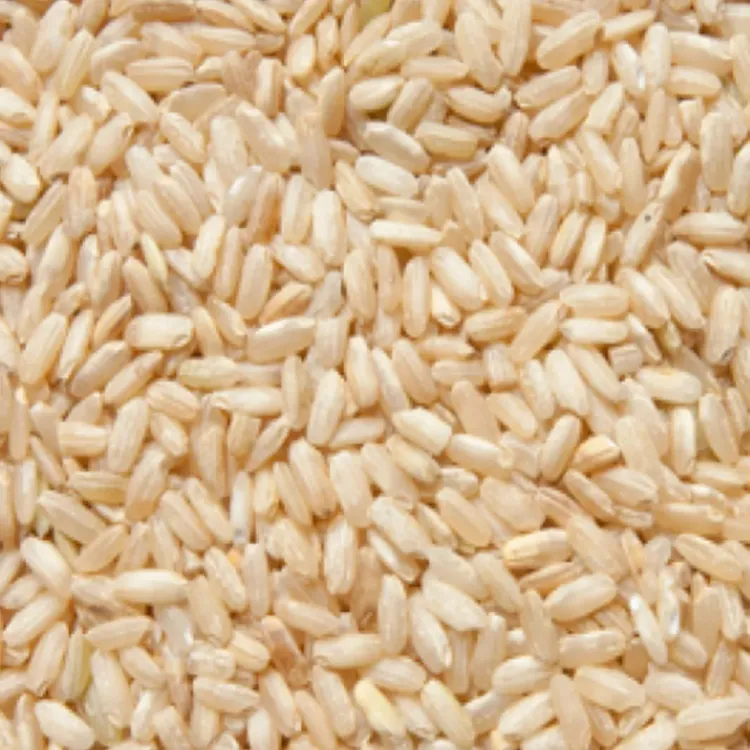 Picture of whole grain rice