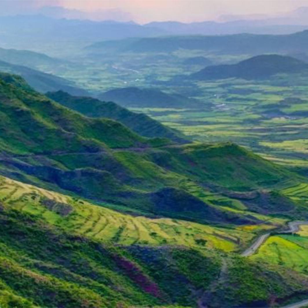 Ethiopian Coffee and Culture