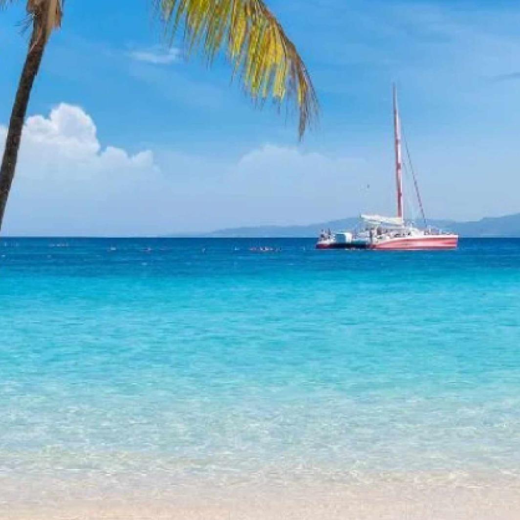 Jamaican Coffee and Culture