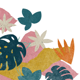 Plants illustration