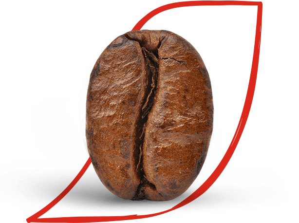 pažinkite „nescafé dolce gusto“