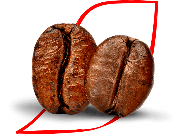 Arabica and Robusta coffee beans