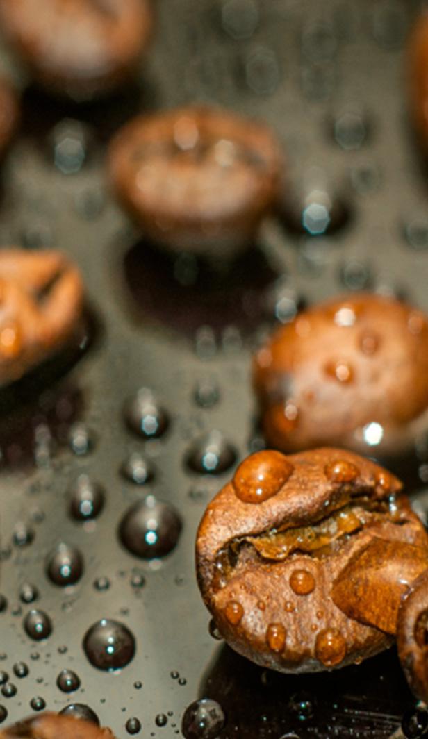 Kā tiek izgatavota bezkofeīna kafija?