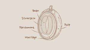 Kavos skrudinimo būdai