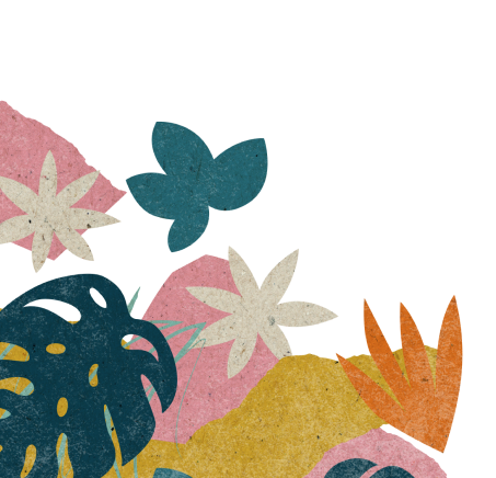 Plants-Illustration-Leaf