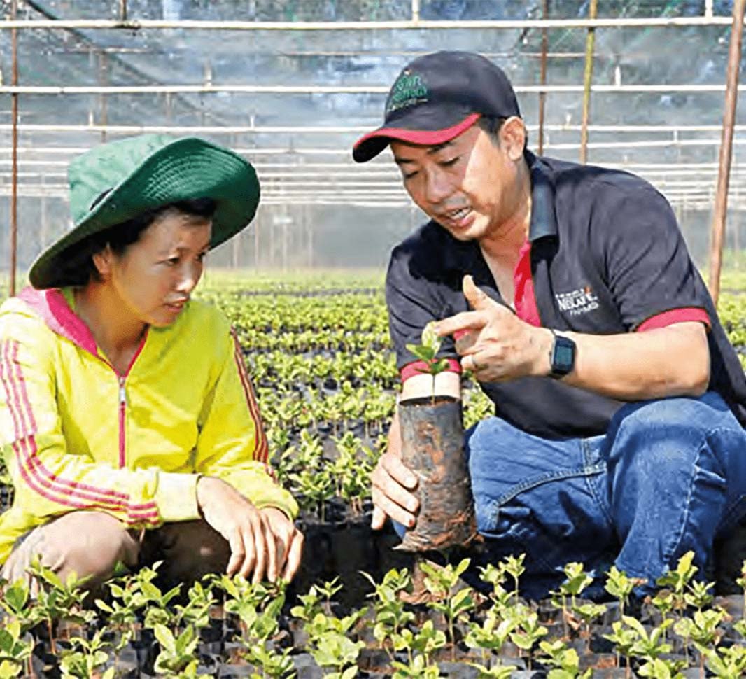 Homme parlant à une femme d'un caféier