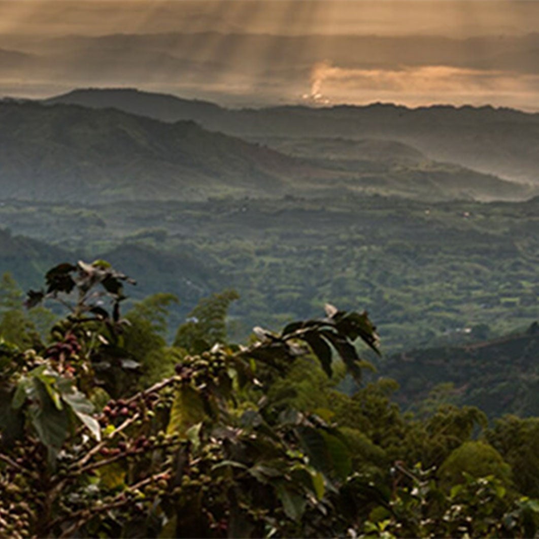 Vue du paysage au coucher du soleil