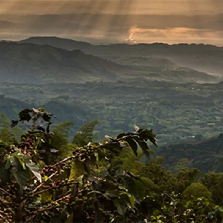 Vue du paysage au coucher du soleil