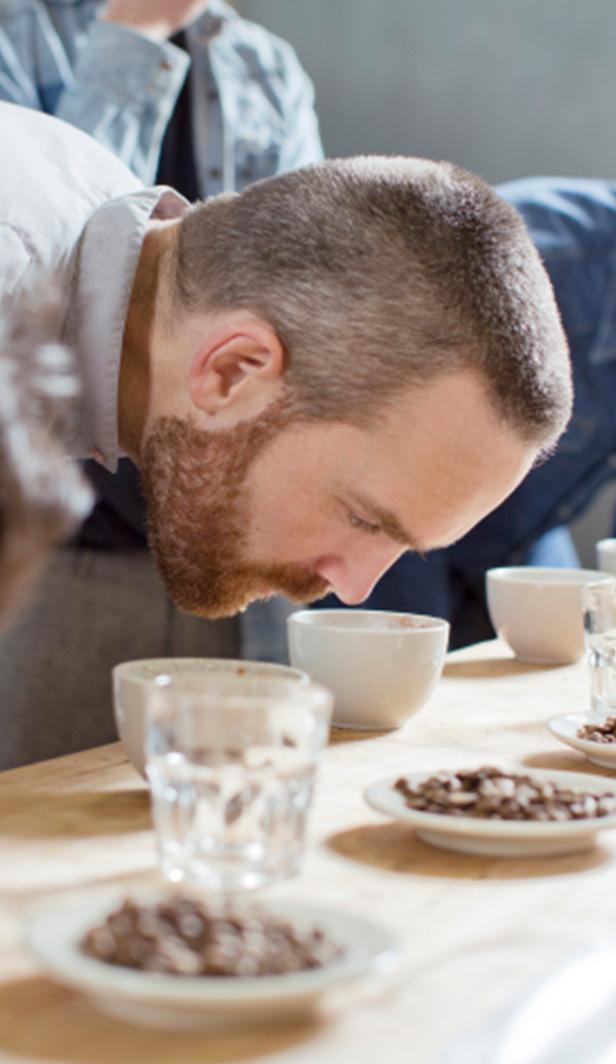 dégustation de café