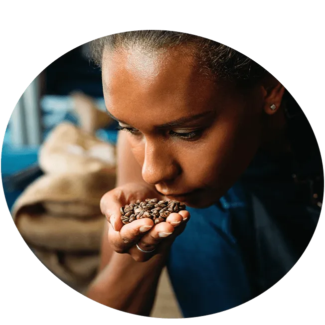 nescafé coffee farmers