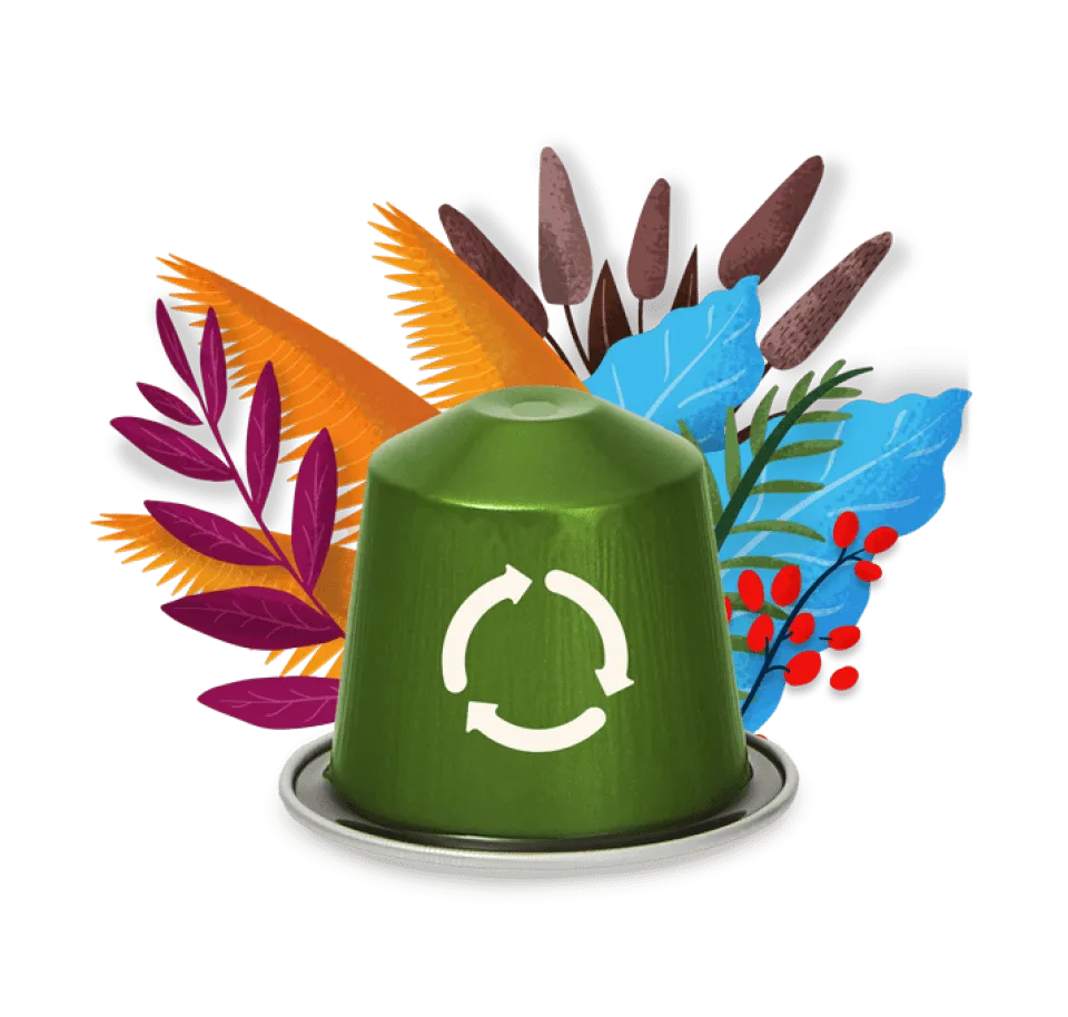 eco capsule logo