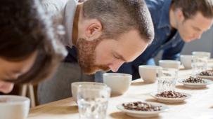 dégustation de café