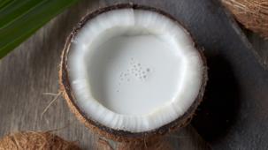 alternatives au lait dans le café