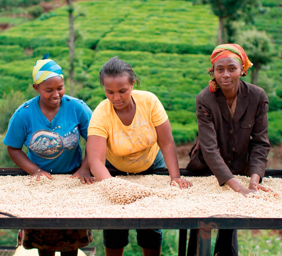 female coffee farmers