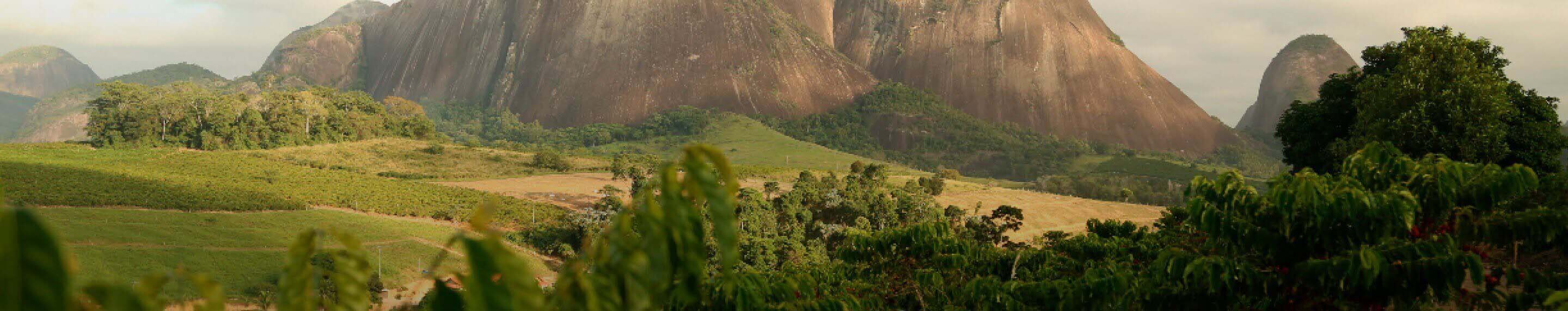 Разгледай статиите от...
