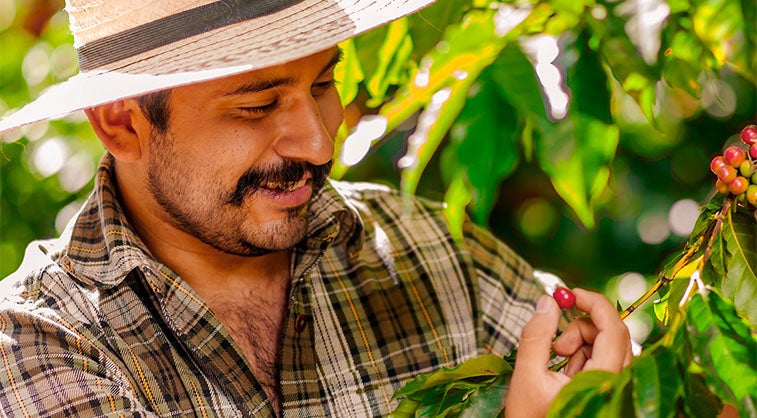 Устойчивост