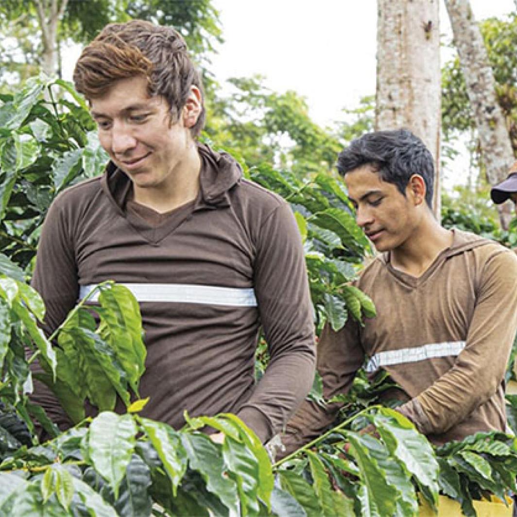 Вдъхновяване и обучаване на производителите на кафе