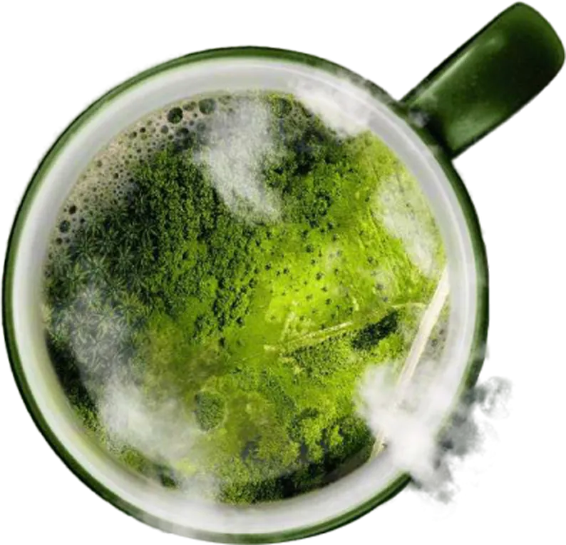 отговорно отглеждане на кафе