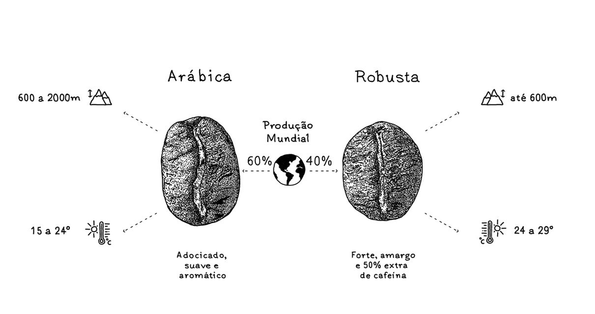 	COLHEITA Tipos de Graos