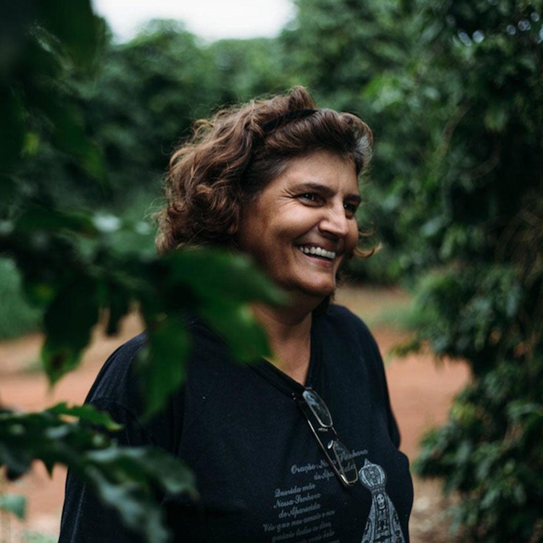 ORIGENS SERRAS Carrossel 1