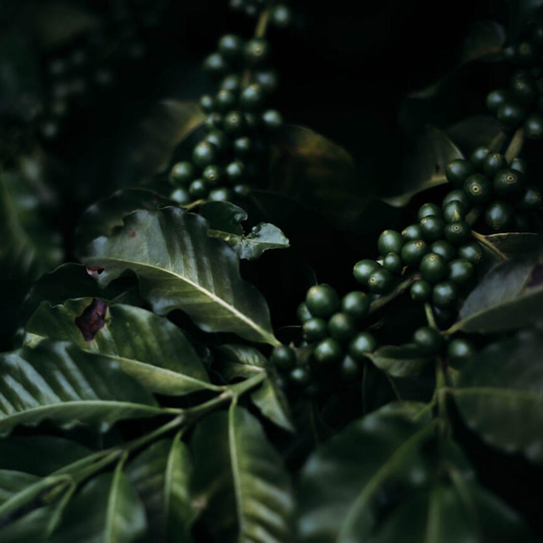 ORIGENS SERRAS Carrossel 2