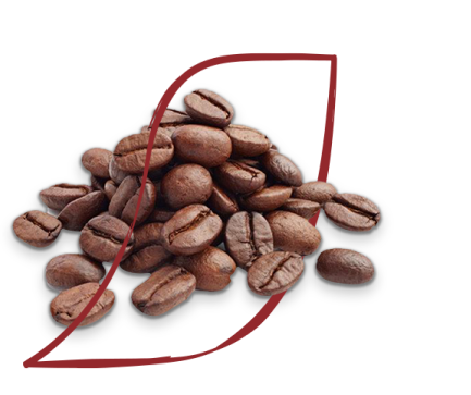 beans