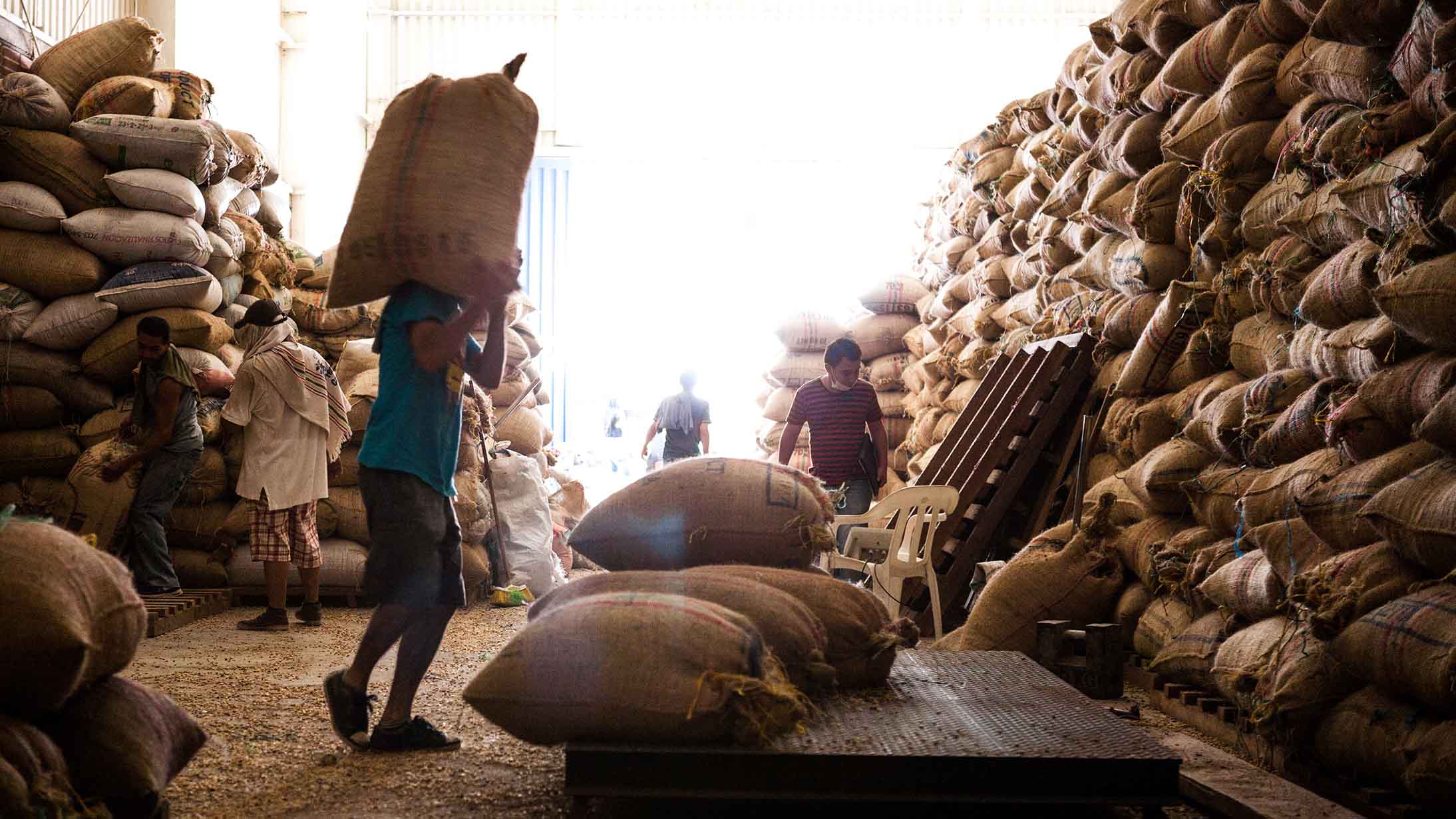 guia para o café de origem única