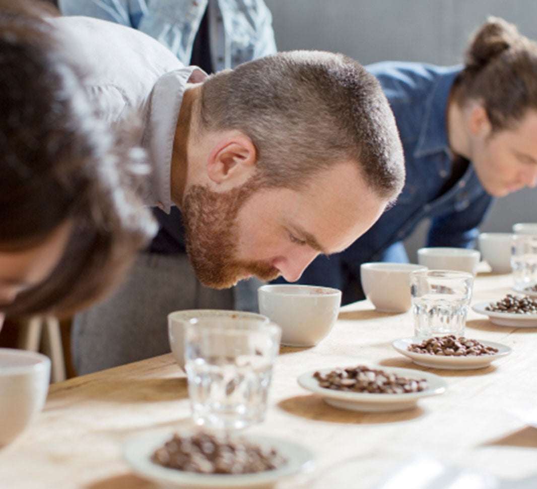 degustadores especialistas em café