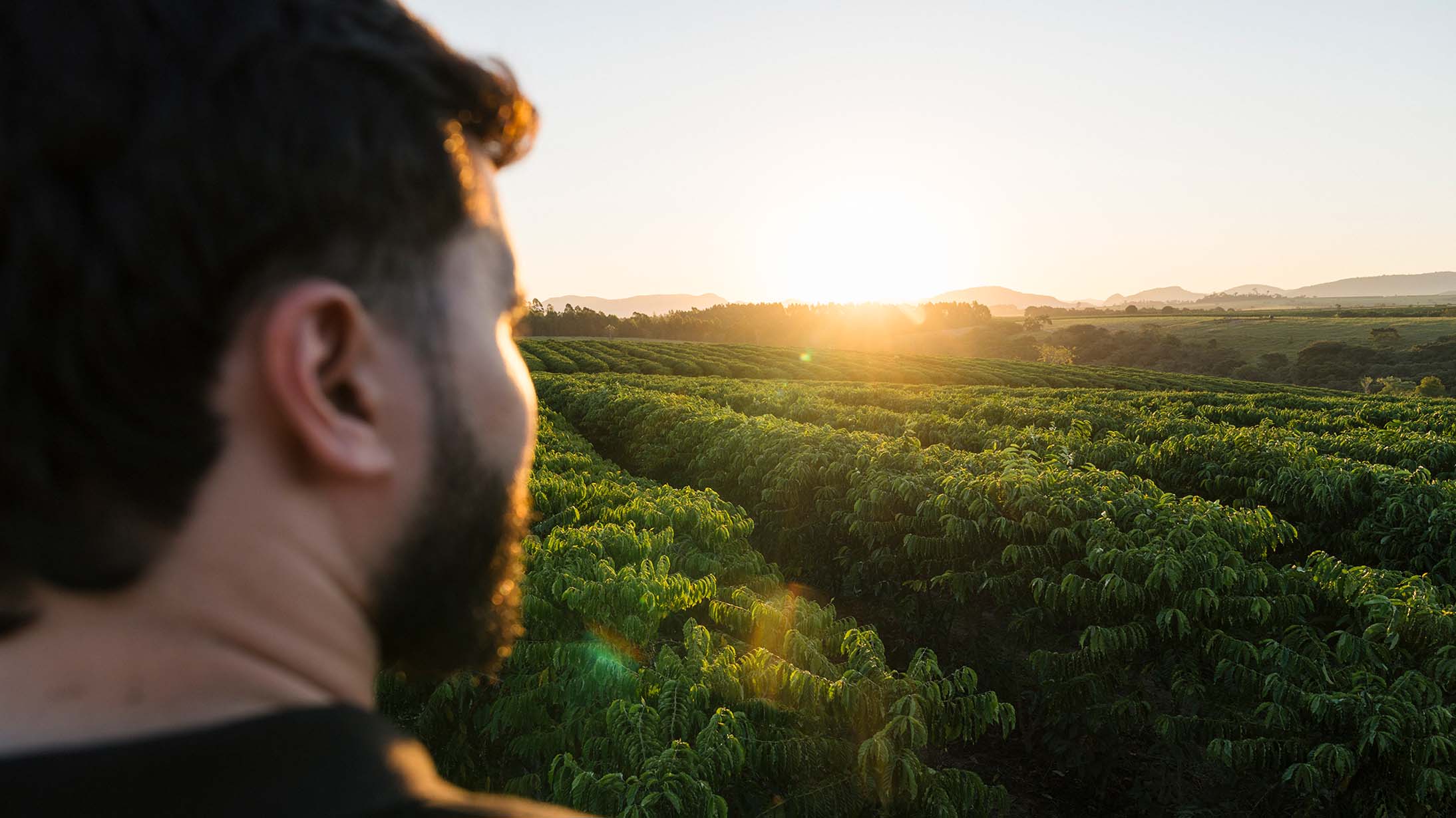 produtores de café de nescafé