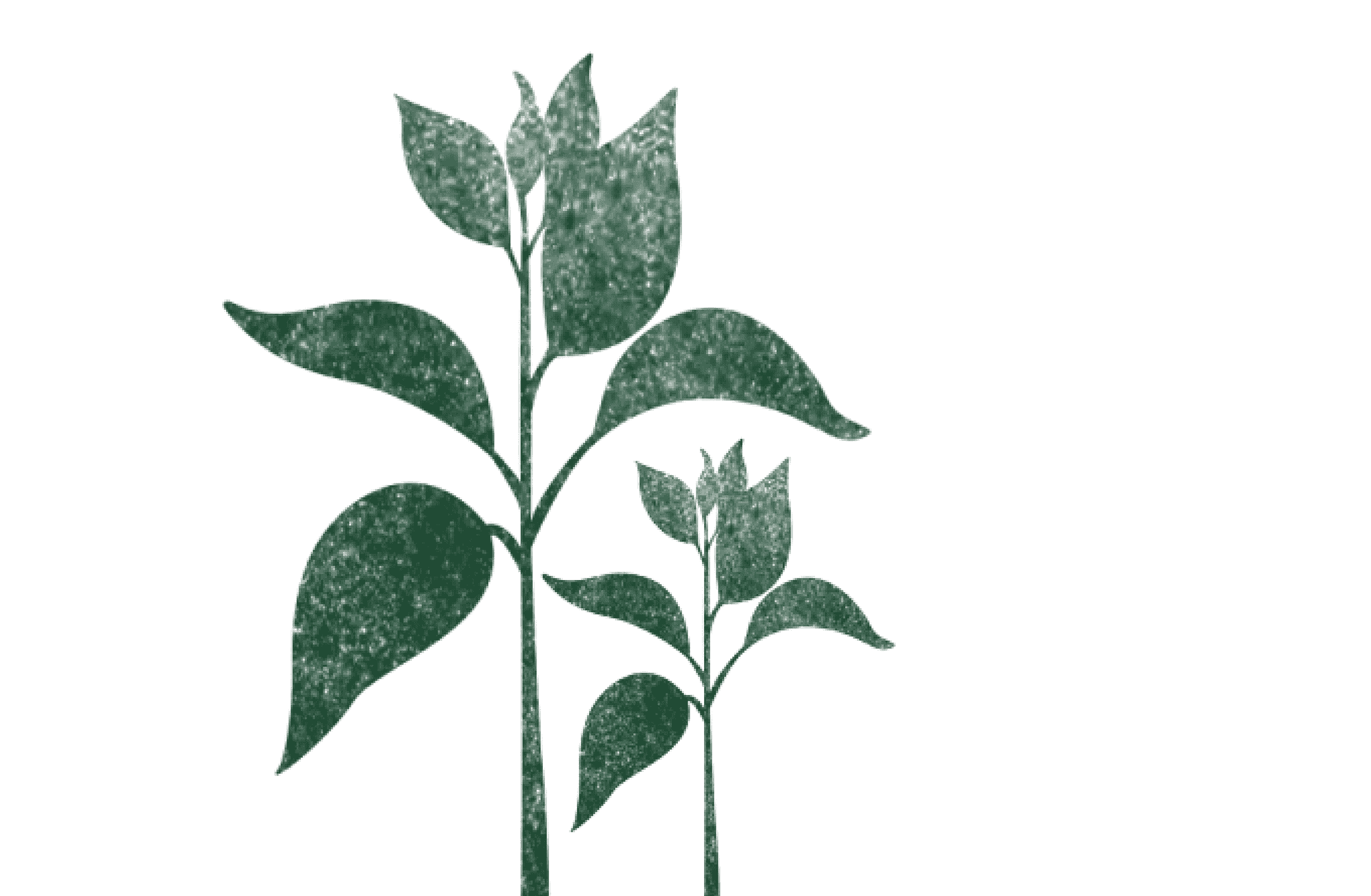 depoimento sobre biodiversidade