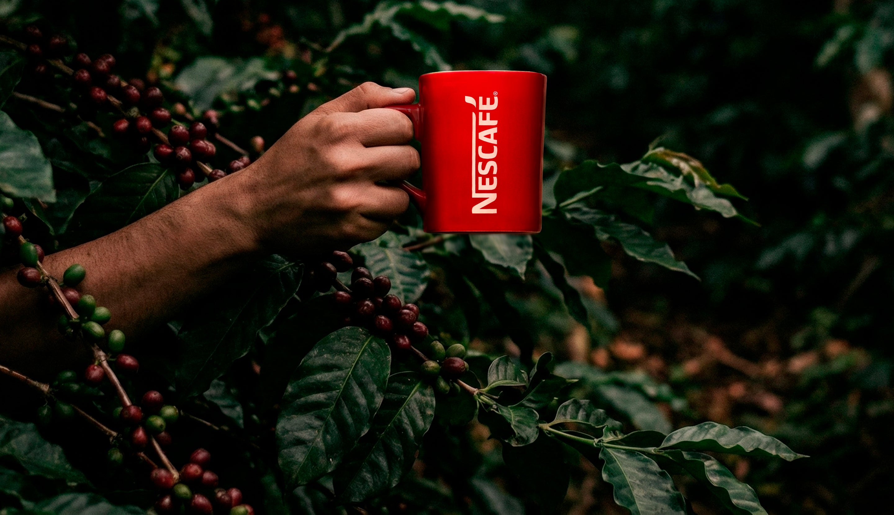 Caneca vermelha de Nescafé sendo segurada em meio à natureza