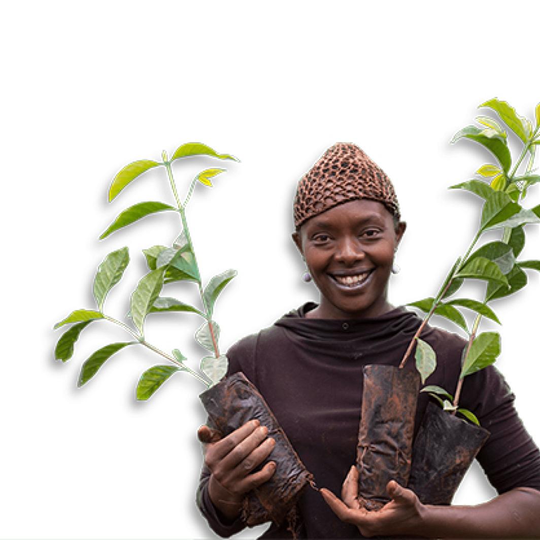 Você é Tão Grande quanto Seu Menor Parceiro