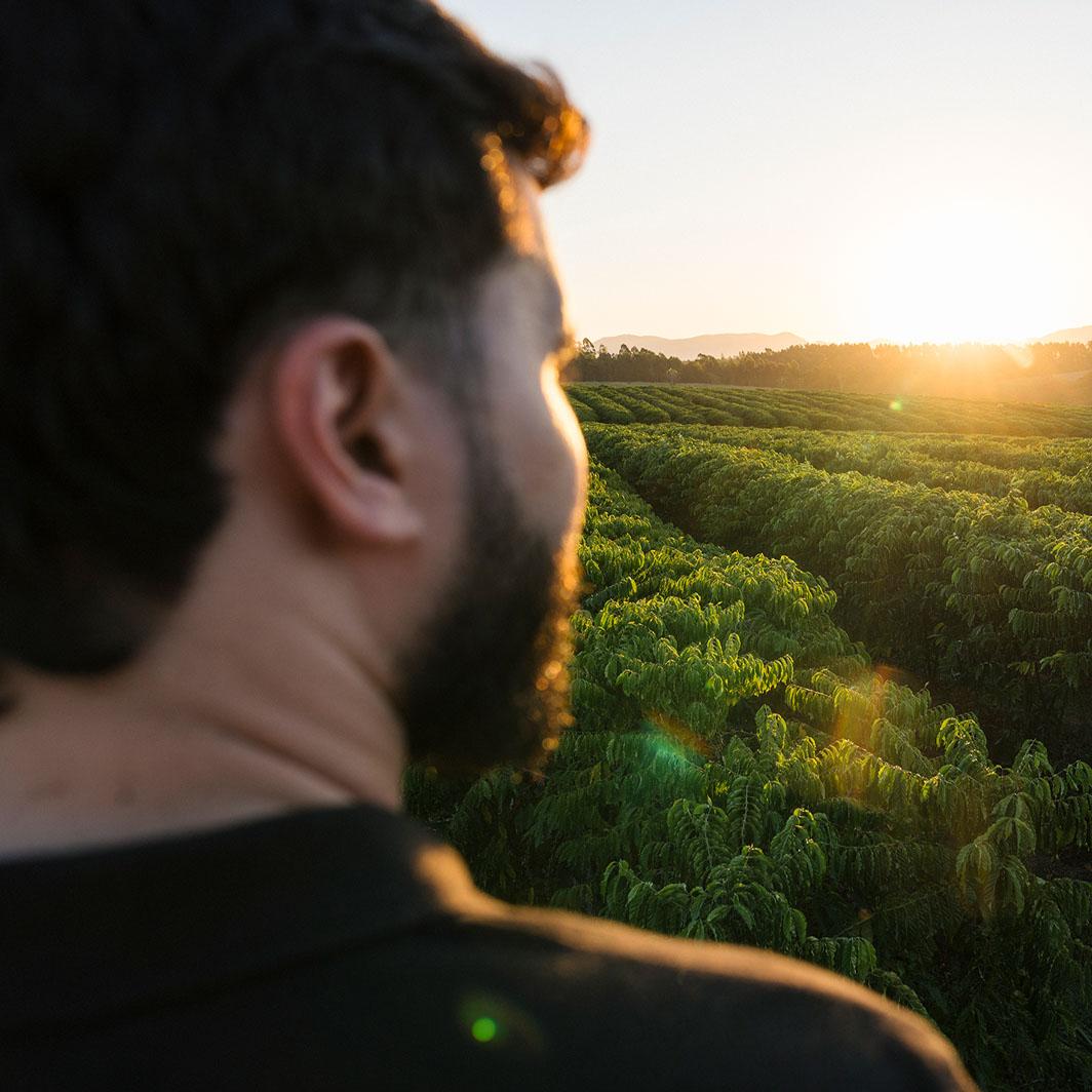 Agricultores brasileiro