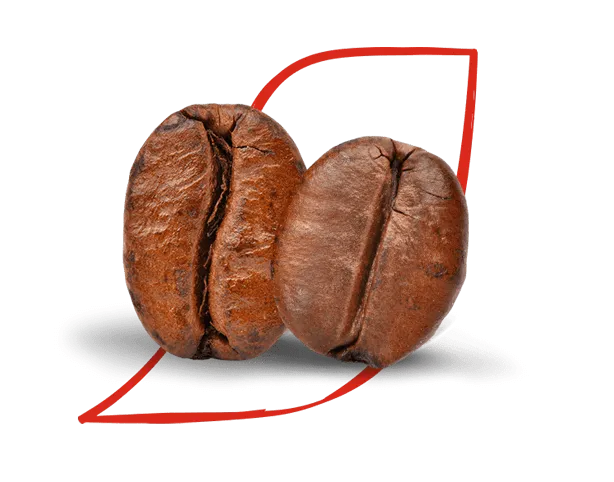 grãos de café