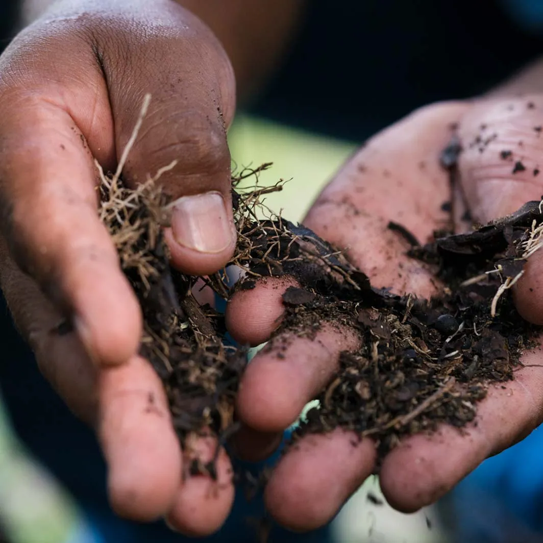 compostagem orgânica