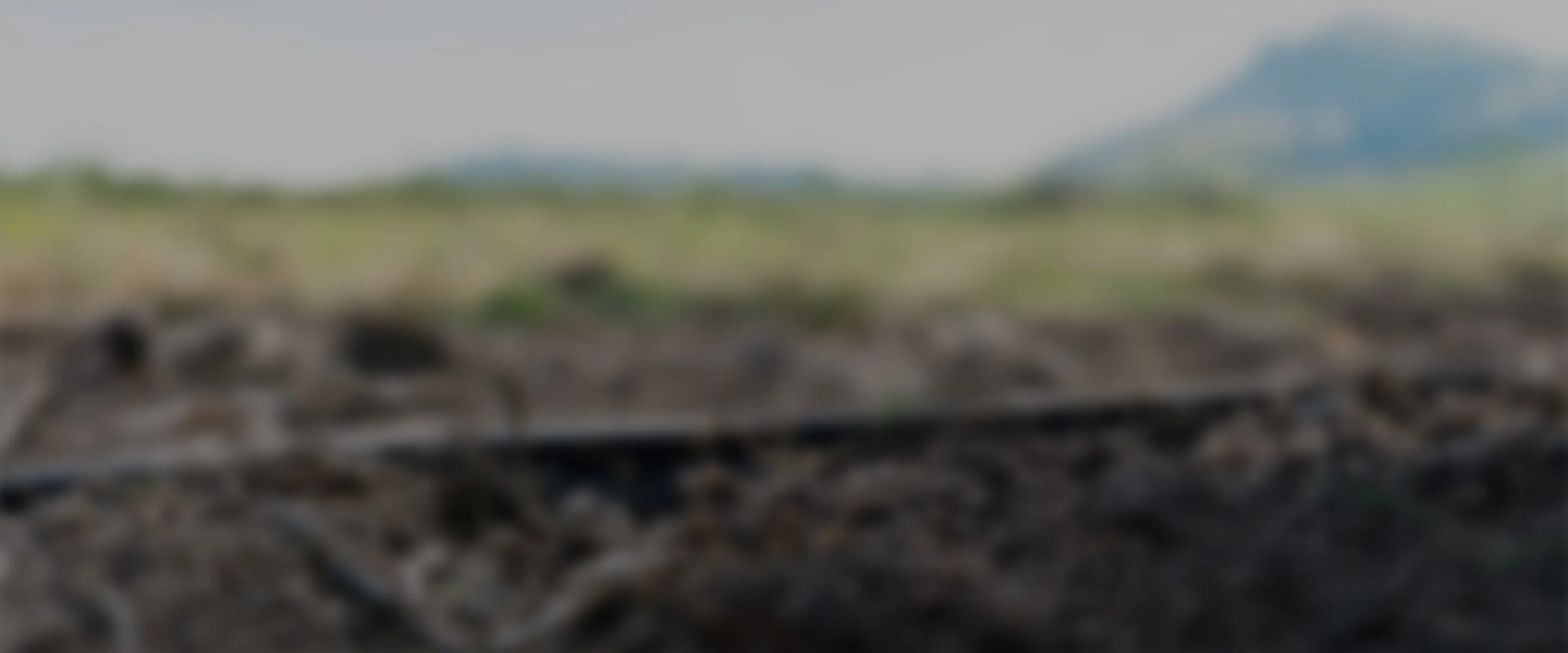 práticas de agricultura regenerativa