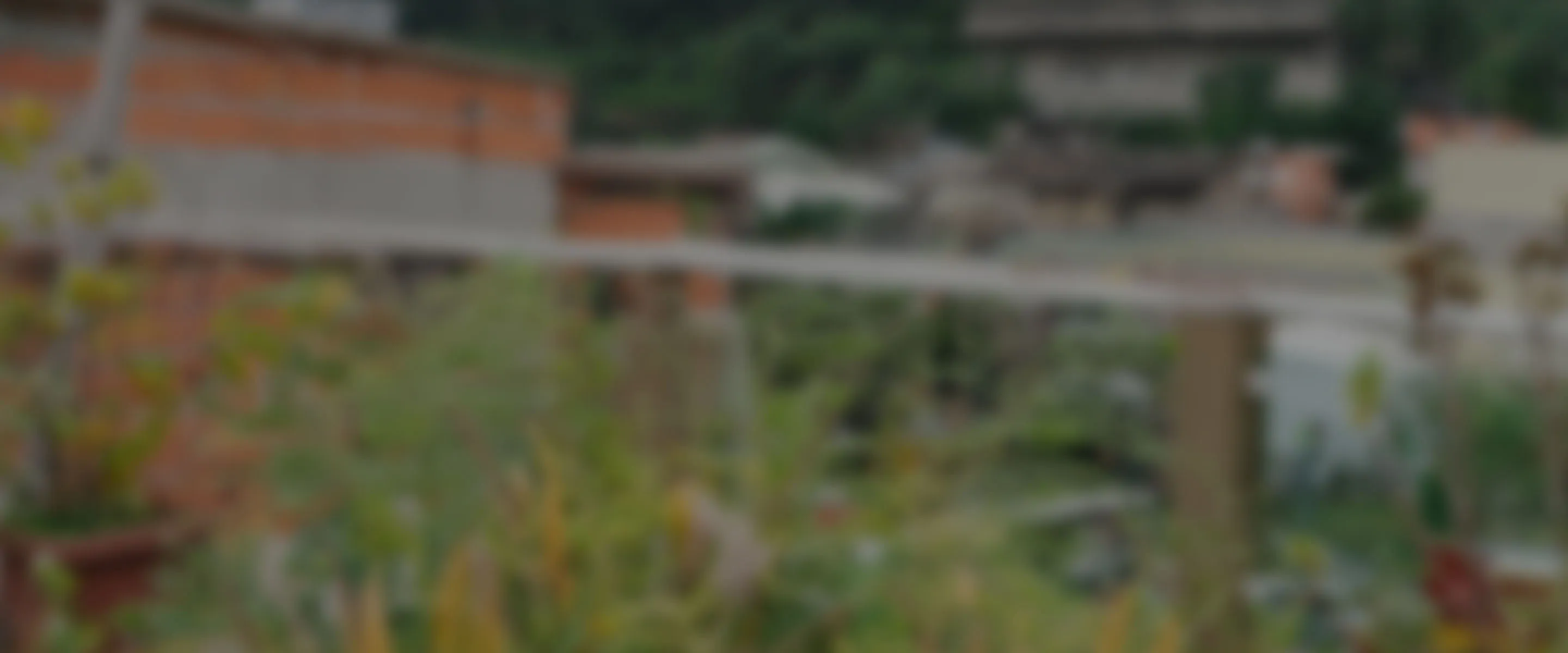  empreendedoras café Brasil