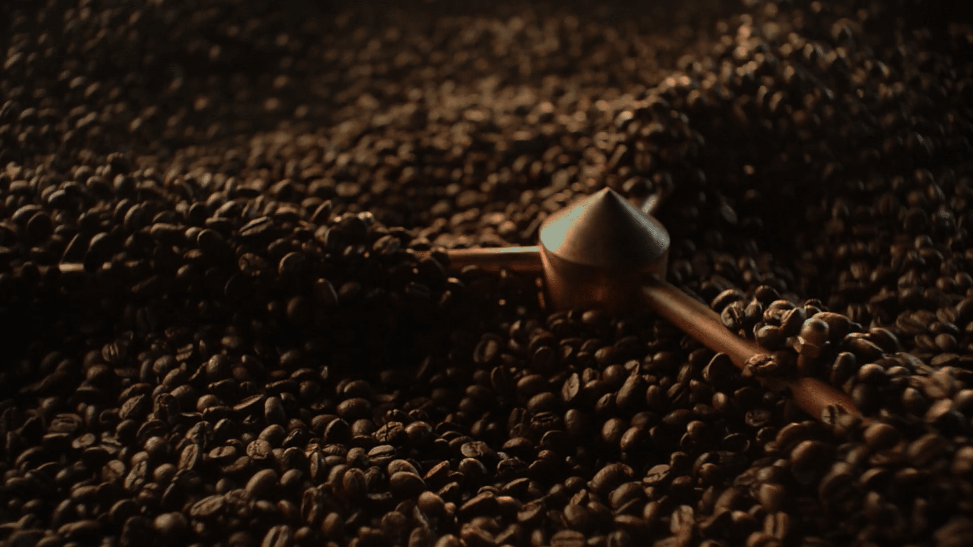 Granos de café tostados ideal